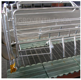 PARIDERA BALANCE (3)