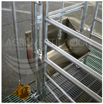 PARIDERA BALANCE (5)