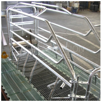 PARIDERA BALANCE (6)